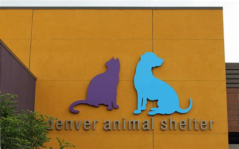 Denver animal shelter - Aug 30, 2023 · Denver's shelter is open-admission, however, meaning it's legally required to accept any animal that comes through the door. Reality check: Denver Animal Shelter has seen higher euthanasia numbers in the past. Fifteen years ago, 2,673 dogs and cats were euthanized, accounting for a third of animals the shelter took in that year, city data shows. 